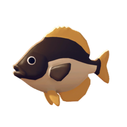 Коричнево-белый ворчун