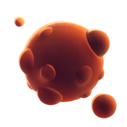 Фрагмент багрового ядра